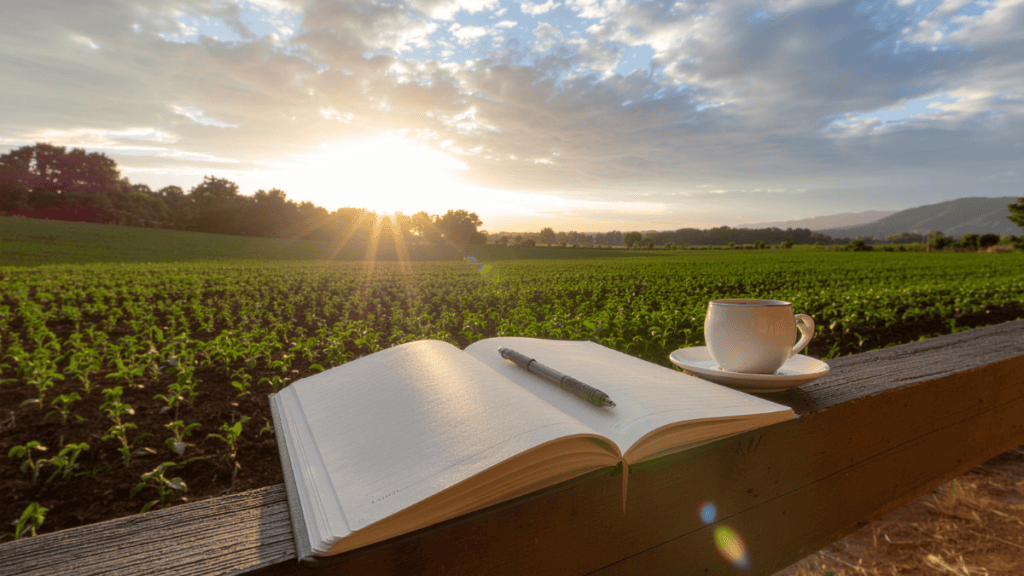 Open journal and coffee overlooking a sunrise, symbolizing a new chapter after 50